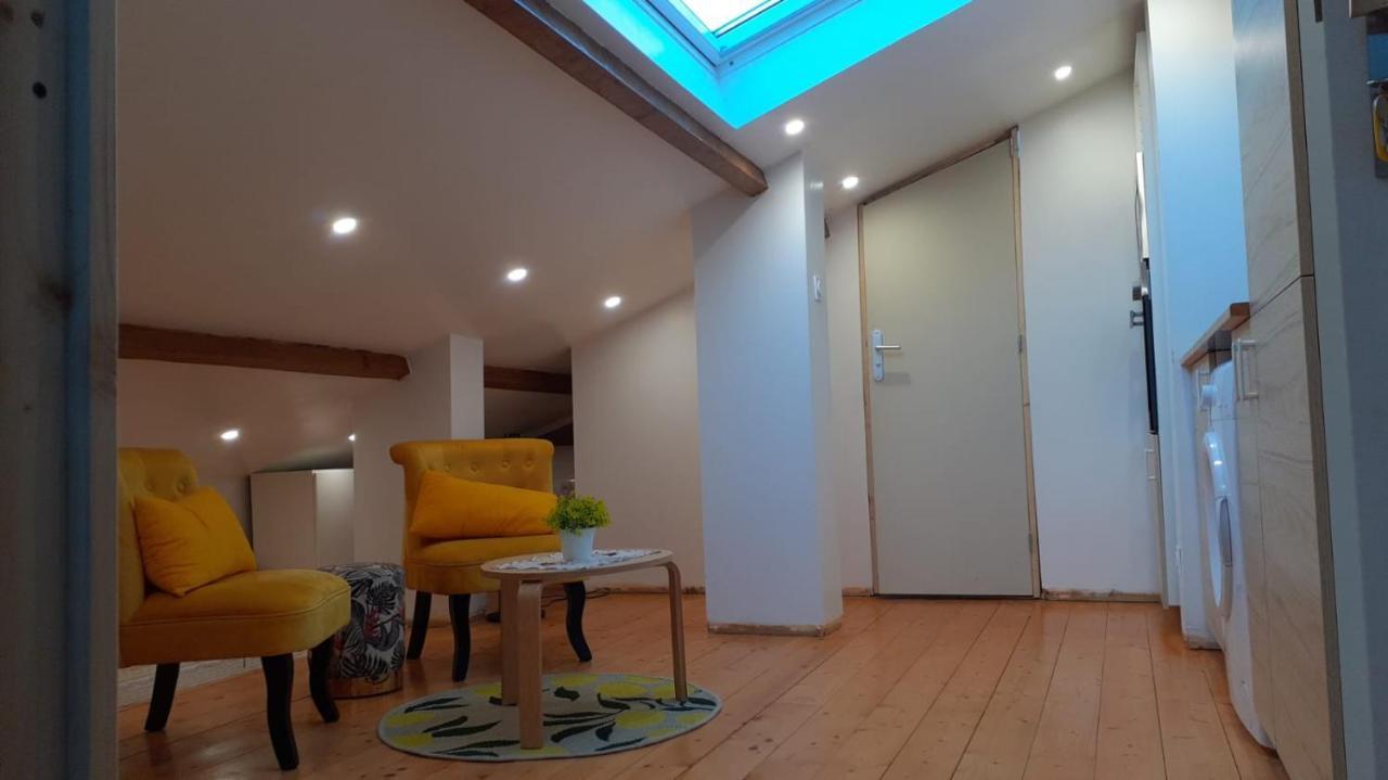 Apartment La Joie Dans Quartier Chic Pibrac