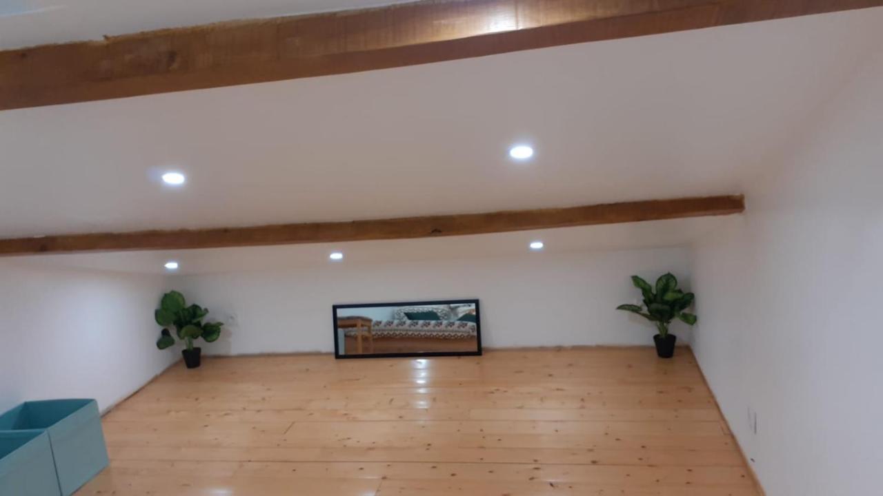 La Joie Dans Quartier Chic Appartement Pibrac